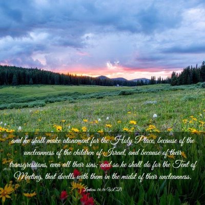 Picture 03 - Leviticus 16:16 WEB - and he shall make atonement for the Holy Place, - Bible Verse Picture