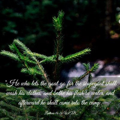Picture 03 - Leviticus 16:26 WEB - 