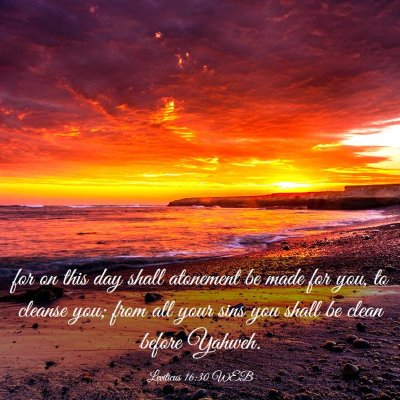 Picture 03 - Leviticus 16:30 WEB - for on this day shall atonement be made for you, - Bible Verse Picture