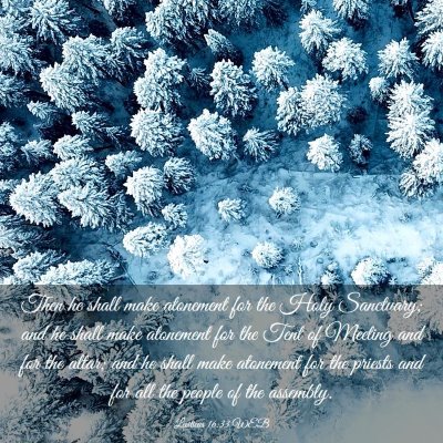 Picture 03 - Leviticus 16:33 WEB - Then he shall make atonement for the Holy - Bible Verse Picture
