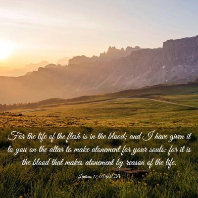 Picture 03 - Leviticus 17:11 WEB - For the life of the flesh is in the blood; and I - Bible Verse Picture