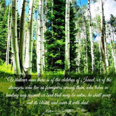 Picture 03 - Leviticus 17:13 WEB - 