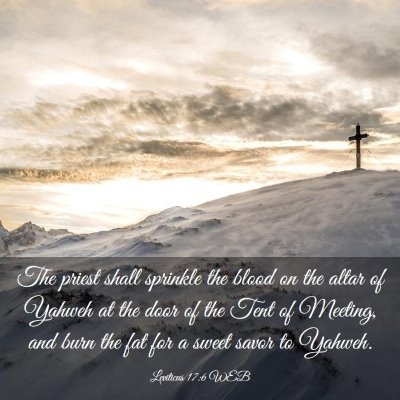 Picture 03 - Leviticus 17:6 WEB - The priest shall sprinkle the blood on the altar - Bible Verse Picture