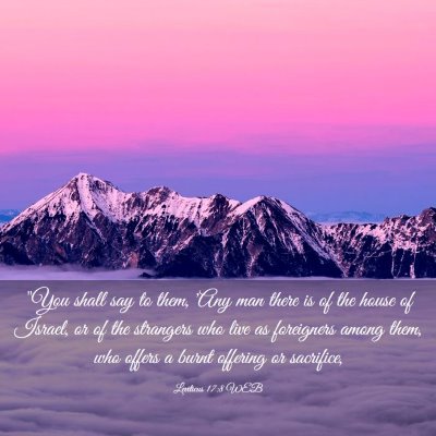 Picture 03 - Leviticus 17:8 WEB - 