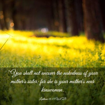 Picture 03 - Leviticus 18:13 WEB - 
