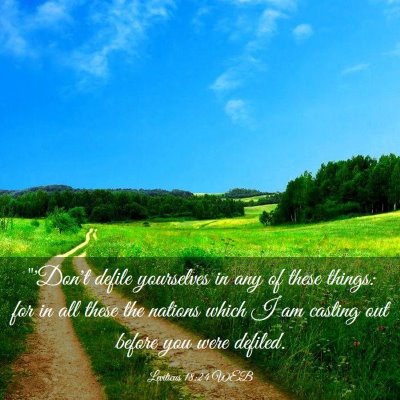 Picture 03 - Leviticus 18:24 WEB - 
