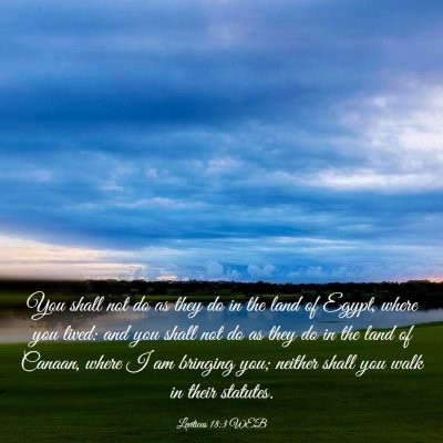 Picture 03 - Leviticus 18:3 WEB - You shall not do as they do in the land of Egypt, - Bible Verse Picture