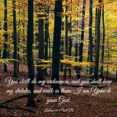 Picture 03 - Leviticus 18:4 WEB - You shall do my ordinances, and you shall keep my - Bible Verse Picture