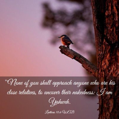 Picture 03 - Leviticus 18:6 WEB - 