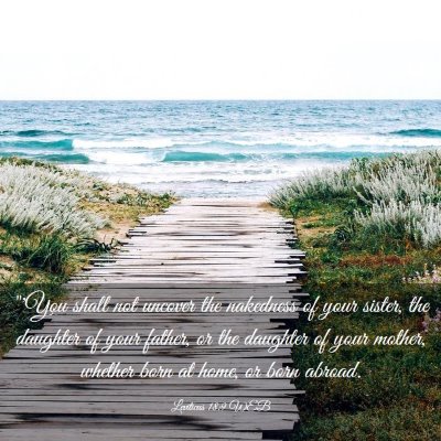 Picture 03 - Leviticus 18:9 WEB - 