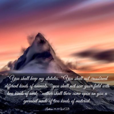 Picture 03 - Leviticus 19:19 WEB - 