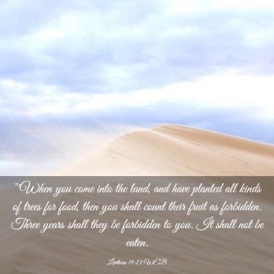 Picture 03 - Leviticus 19:23 WEB - 