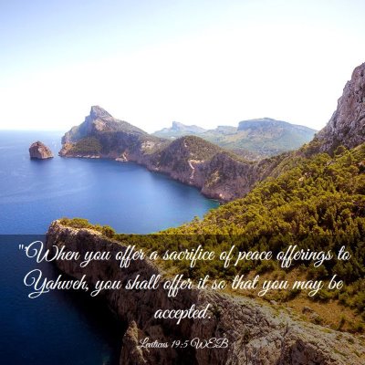 Picture 03 - Leviticus 19:5 WEB - 