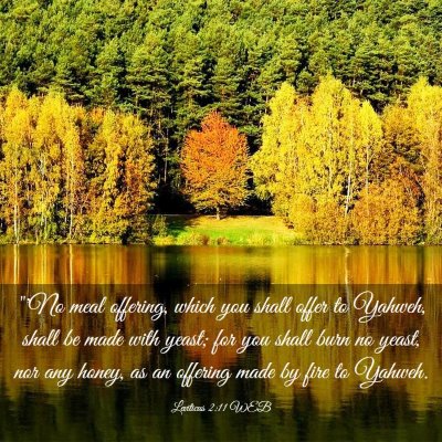 Picture 03 - Leviticus 2:11 WEB - 