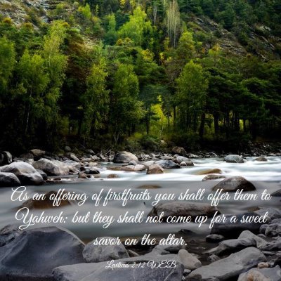 Picture 03 - Leviticus 2:12 WEB - As an offering of firstfruits you shall offer - Bible Verse Picture