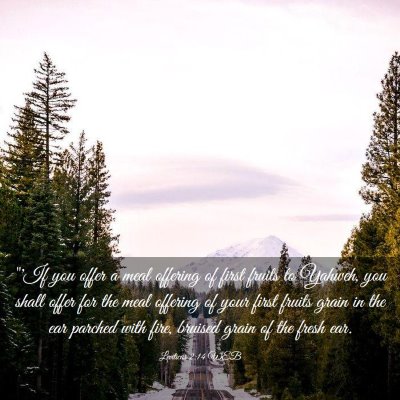 Picture 03 - Leviticus 2:14 WEB - 