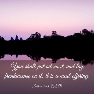Picture 03 - Leviticus 2:15 WEB - You shall put oil on it, and lay frankincense on - Bible Verse Picture