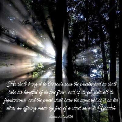 Picture 03 - Leviticus 2:2 WEB - He shall bring it to Aaron's sons the priests; - Bible Verse Picture