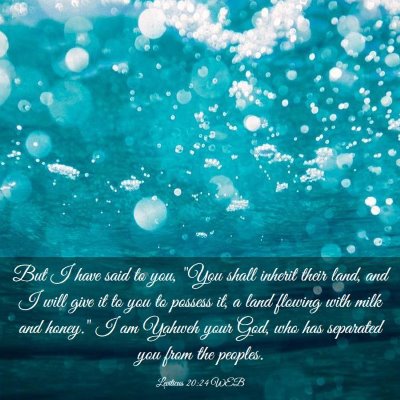 Picture 03 - Leviticus 20:24 WEB - But I have said to you, 