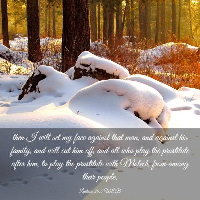 Picture 03 - Leviticus 20:5 WEB - then I will set my face against that man, and - Bible Verse Picture