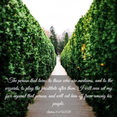 Picture 03 - Leviticus 20:6 WEB - 