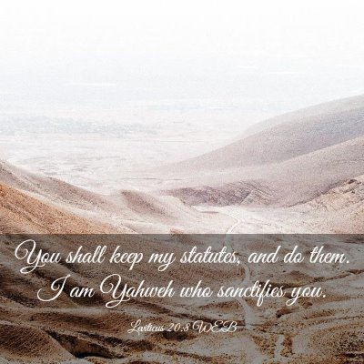 Picture 03 - Leviticus 20:8 WEB - You shall keep my statutes, and do them. I am - Bible Verse Picture