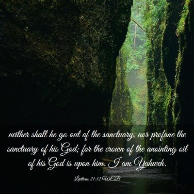 Picture 03 - Leviticus 21:12 WEB - neither shall he go out of the sanctuary, nor - Bible Verse Picture