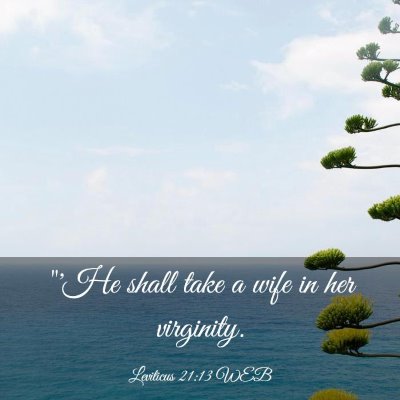 Picture 03 - Leviticus 21:13 WEB - 