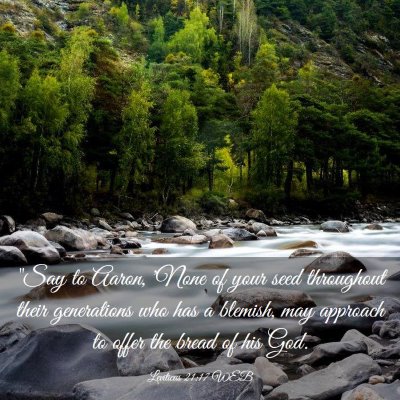 Picture 03 - Leviticus 21:17 WEB - 
