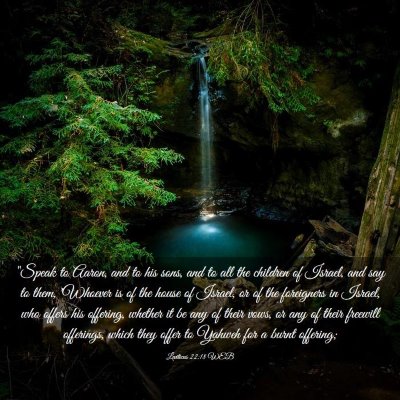 Picture 03 - Leviticus 22:18 WEB - 
