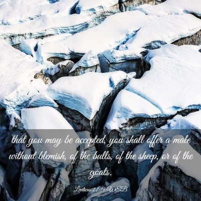 Picture 03 - Leviticus 22:19 WEB - that you may be accepted, you shall offer a male - Bible Verse Picture
