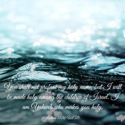 Picture 03 - Leviticus 22:32 WEB - You shall not profane my holy name, but I will be - Bible Verse Picture