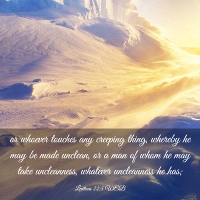 Picture 03 - Leviticus 22:5 WEB - or whoever touches any creeping thing, whereby he - Bible Verse Picture