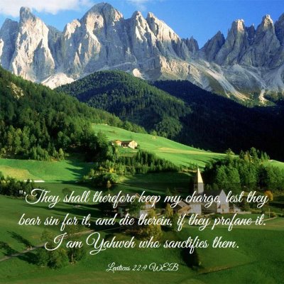 Picture 03 - Leviticus 22:9 WEB - 