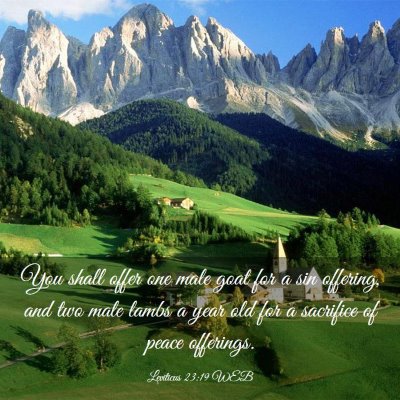 Picture 03 - Leviticus 23:19 WEB - You shall offer one male goat for a sin offering, - Bible Verse Picture