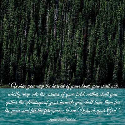 Picture 03 - Leviticus 23:22 WEB - 