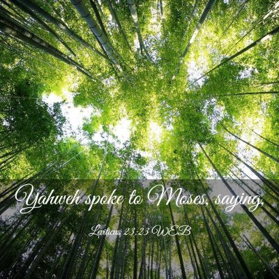 Picture 03 - Leviticus 23:23 WEB - Yahweh spoke to Moses, - Bible Verse Picture