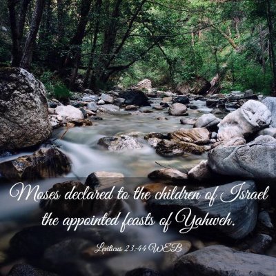 Picture 03 - Leviticus 23:44 WEB - Moses declared to the children of Israel the - Bible Verse Picture