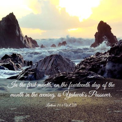 Picture 03 - Leviticus 23:5 WEB - In the first month, on the fourteenth day of the - Bible Verse Picture