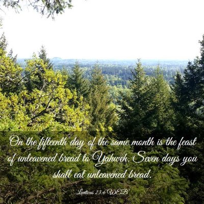Picture 03 - Leviticus 23:6 WEB - On the fifteenth day of the same month is the - Bible Verse Picture