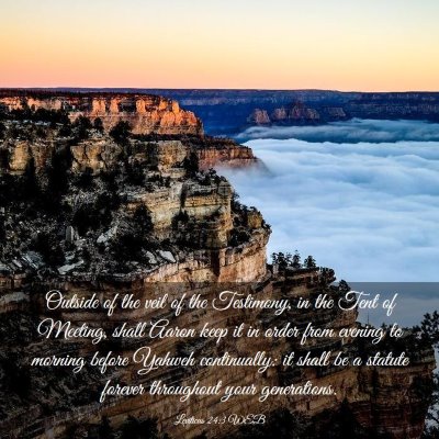 Picture 03 - Leviticus 24:3 WEB - Outside of the veil of the Testimony, in the Tent - Bible Verse Picture