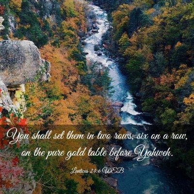 Picture 03 - Leviticus 24:6 WEB - You shall set them in two rows, six on a row, on - Bible Verse Picture