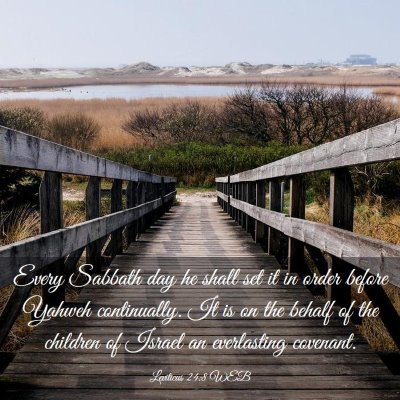 Picture 03 - Leviticus 24:8 WEB - Every Sabbath day he shall set it in order before - Bible Verse Picture