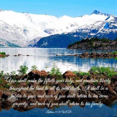 Picture 03 - Leviticus 25:10 WEB - You shall make the fiftieth year holy, and - Bible Verse Picture