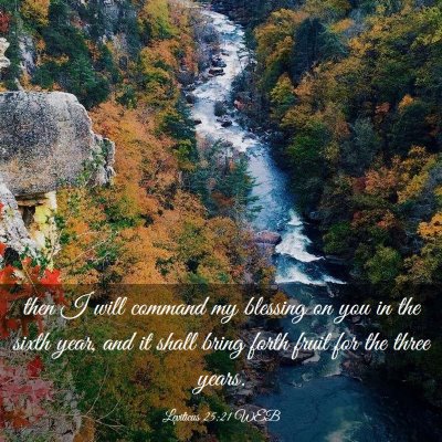 Picture 03 - Leviticus 25:21 WEB - then I will command my blessing on you in the - Bible Verse Picture