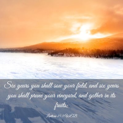 Picture 03 - Leviticus 25:3 WEB - Six years you shall sow your field, and six years - Bible Verse Picture