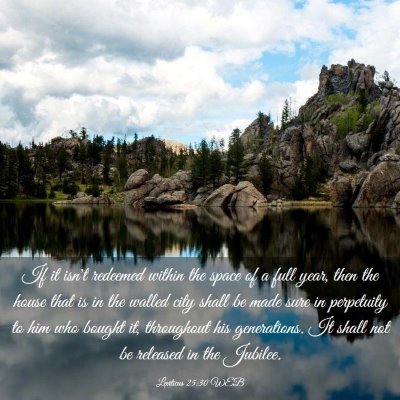 Picture 03 - Leviticus 25:30 WEB - If it isn't redeemed within the space of a full - Bible Verse Picture