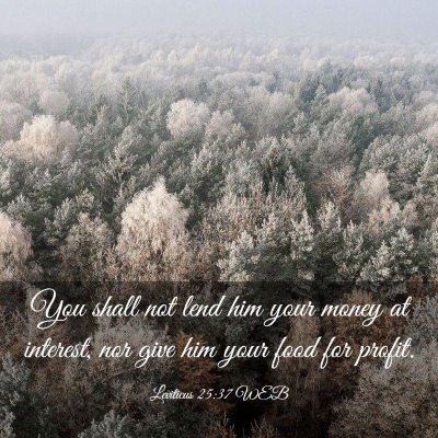 Picture 03 - Leviticus 25:37 WEB - You shall not lend him your money at interest, - Bible Verse Picture