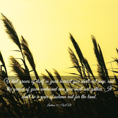 Picture 03 - Leviticus 25:5 WEB - What grows of itself in your harvest you shall - Bible Verse Picture