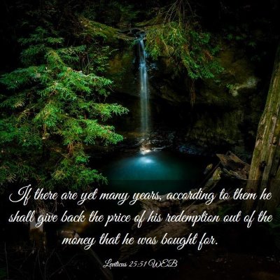 Picture 03 - Leviticus 25:51 WEB - If there are yet many years, according to them he - Bible Verse Picture
